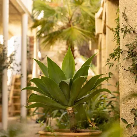 Patio Do Tijolo 4* ליסבון