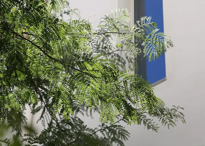 Gasthuis Patio Do Tijolo