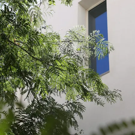 بيت ضيافة Patio Do Tijolo